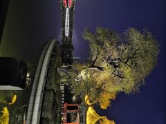 -北山公园