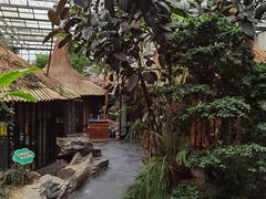-世外桃源农庄·德清土菜(兴康南路店)