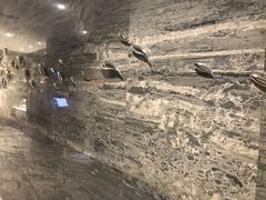 -畅想汤泉生活(民治店)