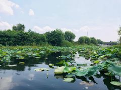 -君豪蟹都·湖景·农家乐(蟹舫苑店)