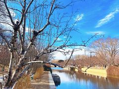 -元大都城垣遗址公园