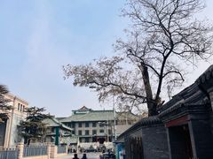 -北京全聚德(王府井店)