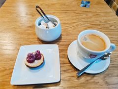 -滴血救世主教堂