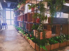 -ZM COFFEE(西安路店)