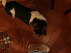 -La Tavernetta(Bar à Vin)(乌鲁木齐路店)