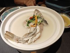 招牌东坡河豚-肆月河豚·新淮扬(金融街店)