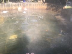 -西安国际创新人才交流中心•药浴温泉