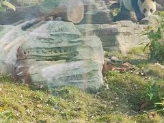 -武汉动物园