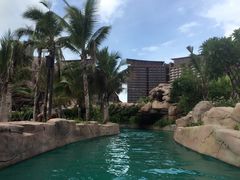 -亚马逊丛林水乐园