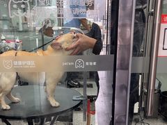 -宠物家(长阳店)