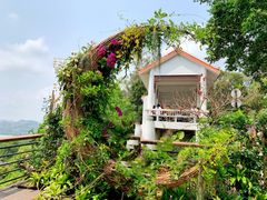 -深圳仙湖植物园