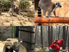 -北京野生动物园