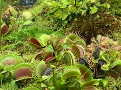 -国家植物园南园