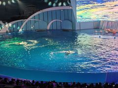 -海合安青岛极地海洋公园