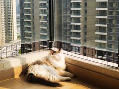 -芭比堂动物医院广州顽皮分院