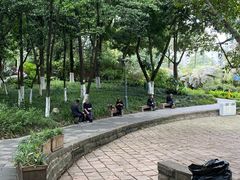 -成都市活水公园