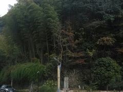 android_upload_pic-天明山温泉大酒店