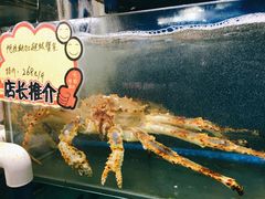 阿拉斯加长脚蟹-蚝专家(北滘店)