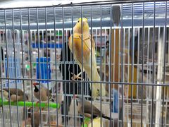 -三旗百汇商品城