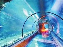 -芜湖新华联大白鲸海洋公园