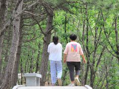 -六里坪国家森林公园
