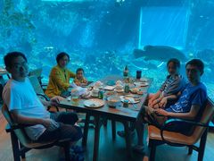 -海棠湾洲际-涛·海底餐厅·美人鱼·自助餐·海底隧道