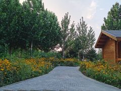 -东郊湿地公园