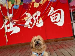 -祝甸砖窑文化馆