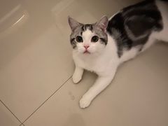 -嘉馨宠物医院·CT影像转诊·心脏科·犬猫全科诊疗中心(下沙大学城院区)