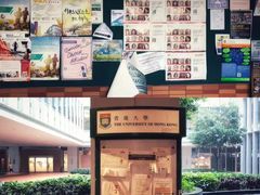 -香港大学