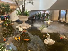-白天鹅宾馆-宏图府餐厅