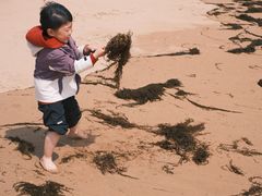 -大王村沙滩