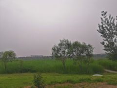 -绿堤公园