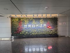 -张家界荷花国际机场