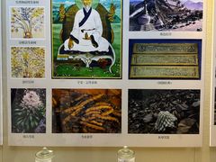 -广东中医药博物馆