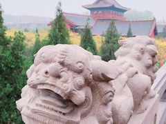 -大槐树寻根祭祖园