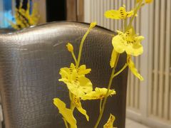-草鱼先生潮州鱼生·虾生(新厦花园店)