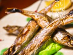 多春鱼-気楽亭和食料理(气乐亭大世界本店)