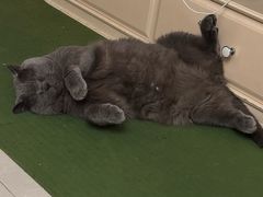 -爱康国宾体检中心(北京航天桥光耀东方分院)