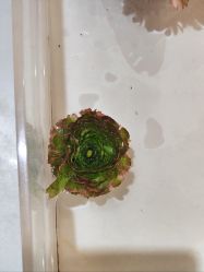 -今日陶艺(富力广场店)