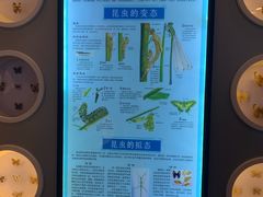 -下渚湖国家湿地公园科普馆