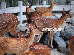 -北京野生动物园