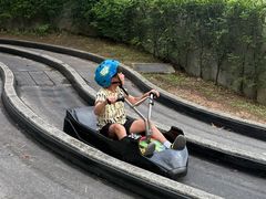 -圣淘沙天际线斜坡滑车