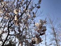 景点-方庄体育公园