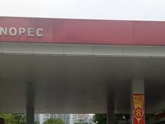 -中国石化金城加油站