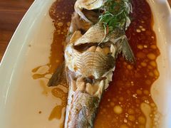 抱腌钱塘江白条-南庐