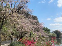 -星湖旅游景区七星岩