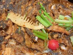 -老板恋上鱼(恒隆广场店)