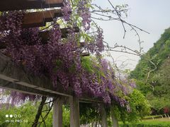 -幕燕滨江·长江观音景区