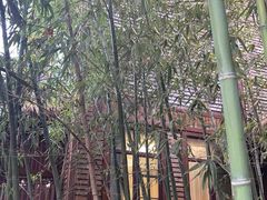 -洪湖悦兮半岛国际温泉度假村